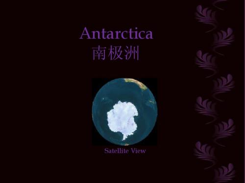 南极风光_中英文_38