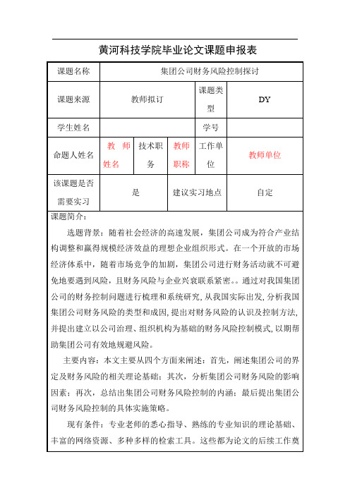 集团财务风险控制申请表