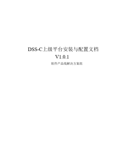 DH_DSS-C_上级平台安装与配置文档_解决方案组V1.0.1