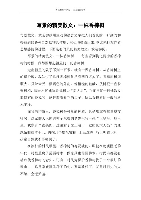 写景的精美散文：一株香樟树