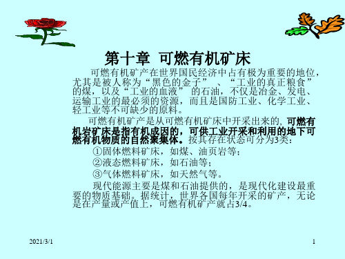 矿床学第十章可燃有机矿床全解PPT精品课件