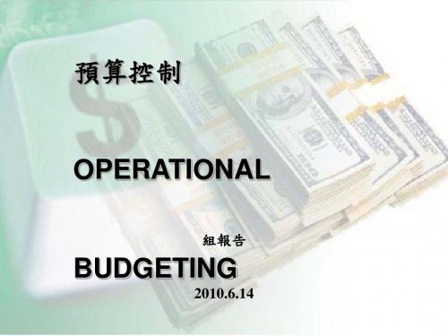 企业集团预算控制概述(ppt41张)