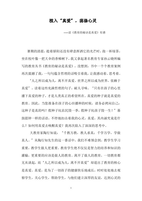 植入真爱,荡涤心灵