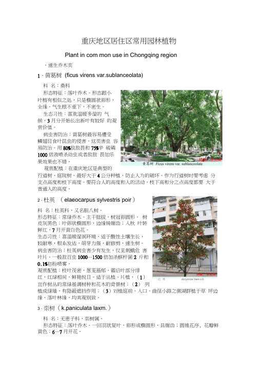 重庆地区居住区常用园林植物