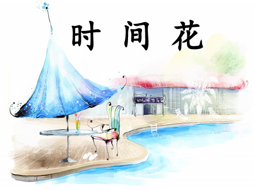 毛毛PPT