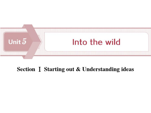 《Into the wild》Section Ⅰ(ppt)课件