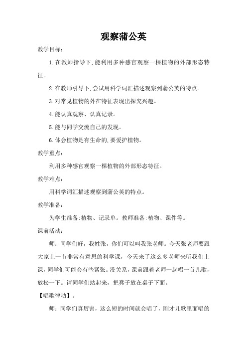 冀人2017课标版科学一年级上册《第二单元 植物 6 观察蒲公英》优质课教学设计_2