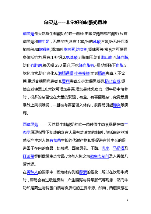 藏灵菇----非常好的制酸奶菌种
