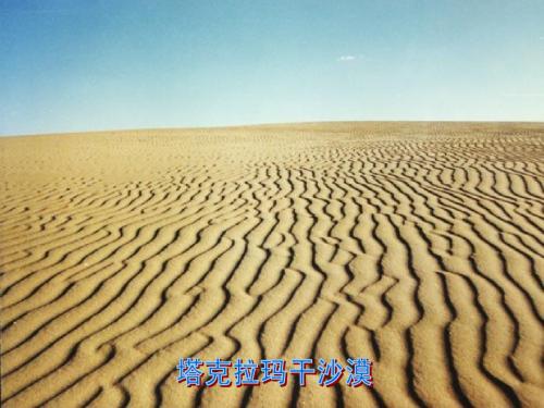 18 采访对象是棵树