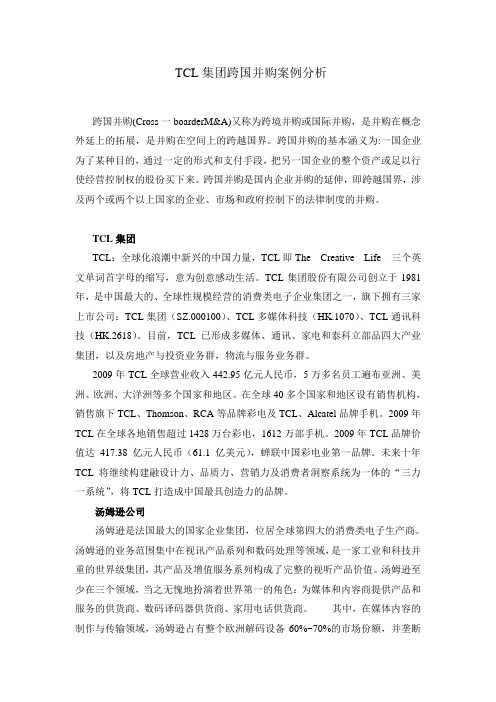 TCL集团跨国并购案例分析