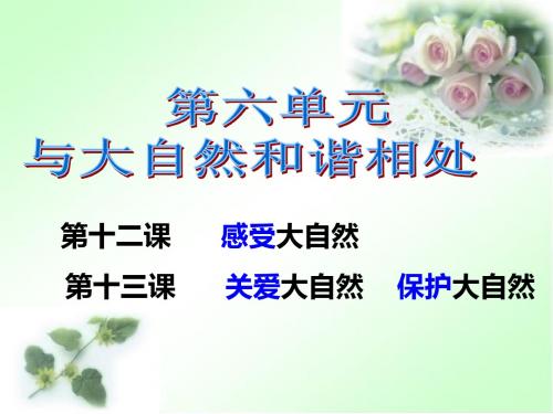 6单元与大自然和谐相处复习 (八下)
