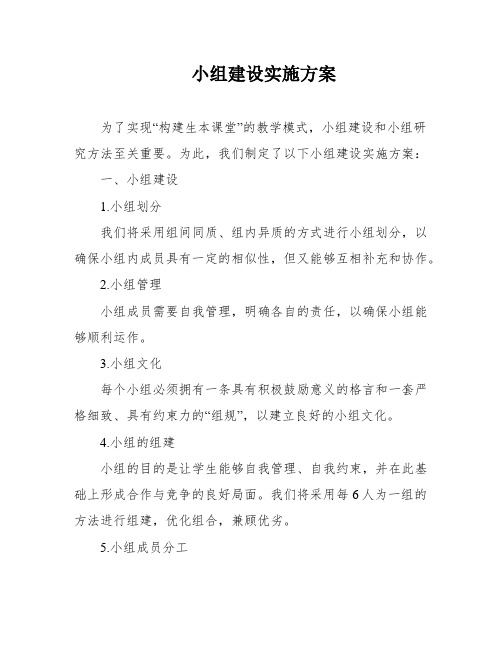 小组建设实施方案