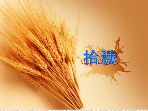 拾穗