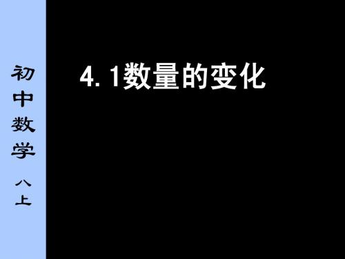 4.1 数量的变化 课件(苏科版八年级上册) (10)
