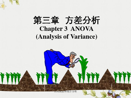田间试验和统计分析