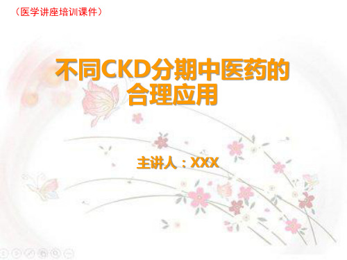 不同CKD分期中医药合理应用(医学讲座培训课件)