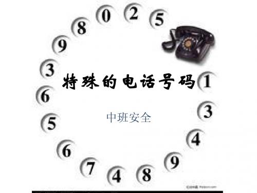 特殊的电话号码