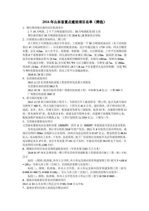 2016年山东省重点建设项目名单(筛选)