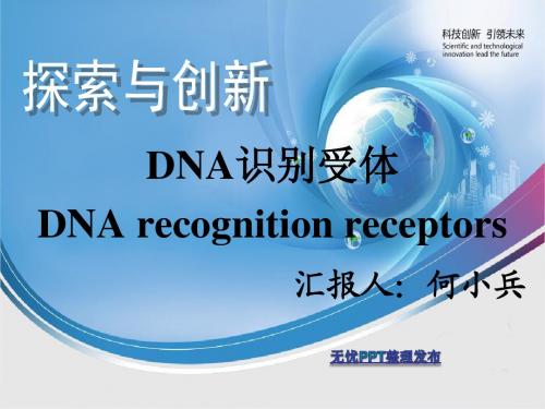 DNA recognition receptors