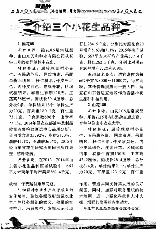 介绍三个小花生品种