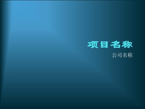 项目路演ppt课件