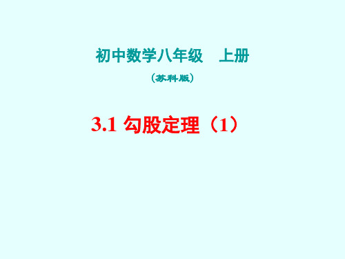 苏科版数学八年级上册 3.1 勾股定理 课件 (3)