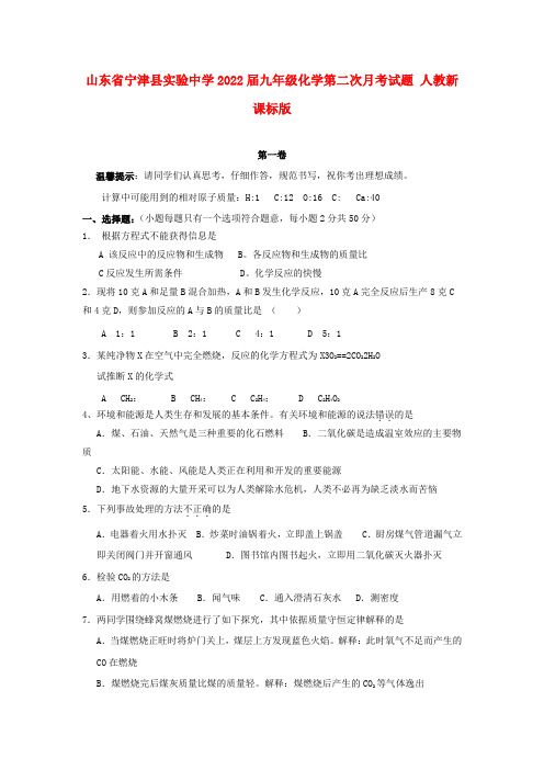 山东省宁津县实验中学2022届九年级化学第二次月考试题 人教新课标版