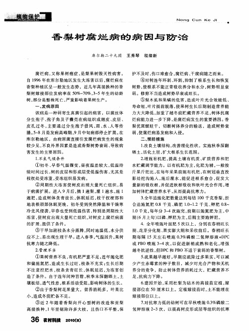 香梨树腐烂病的病因与防治