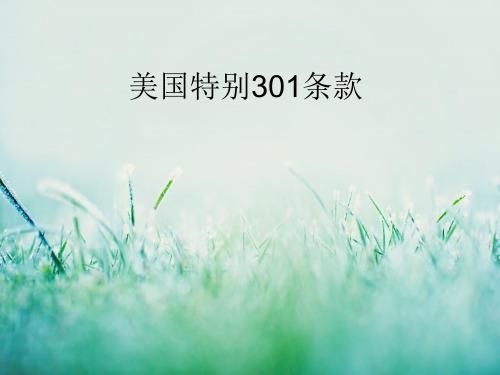 美国特别301条款