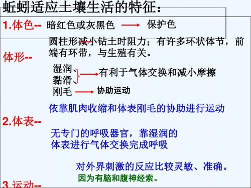江苏省铜山区七年级生物下册 13.2 土壤里的微生物讲义 (新版)苏科版