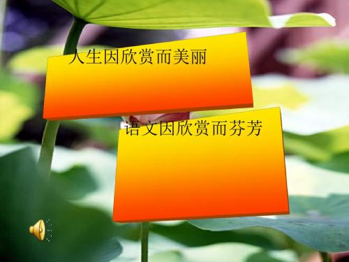 初中作文感受美好ppt