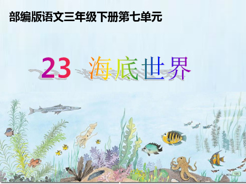 人教版(部编)三年级下册语文：23 海底世界1
