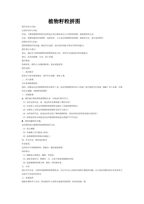 人美版美术三上《植物籽粒拼图》教案 (2)