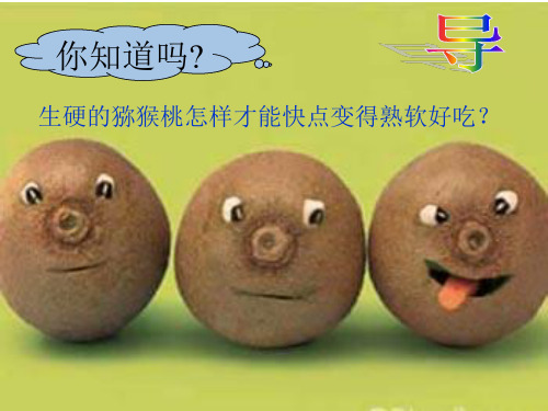 人教版高中化学必修二3.2 乙烯课件