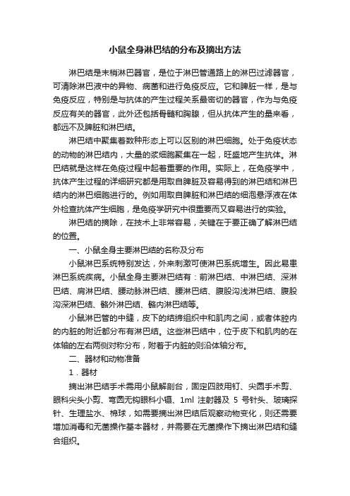 小鼠全身淋巴结的分布及摘出方法