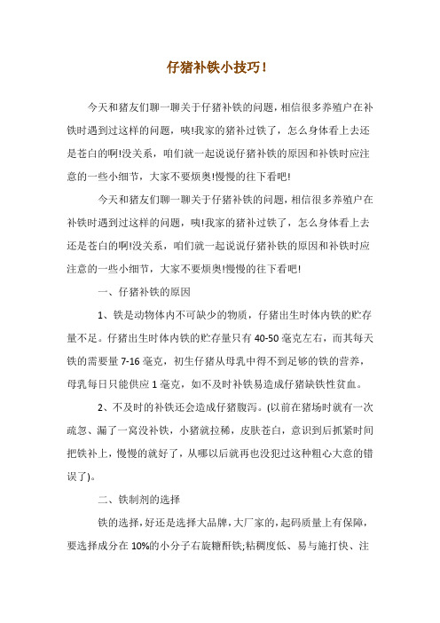 仔猪补铁小技巧!