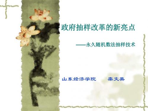 第3部分 政府抽样制度改革的新亮点