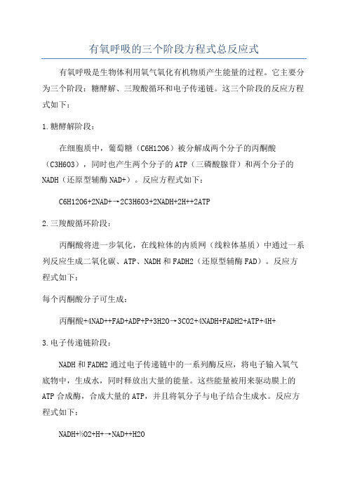 有氧呼吸的三个阶段方程式总反应式