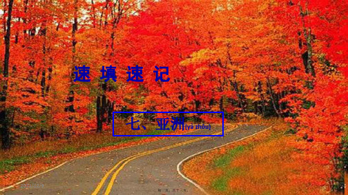 中考地理总复习 七 亚洲课件