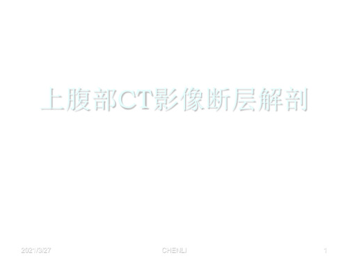 上腹部CT影像断层解剖