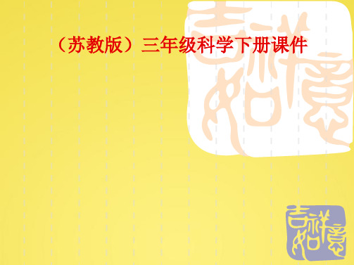 苏教版小学三年级科学下册我们周围的土壤(共10张PPT)