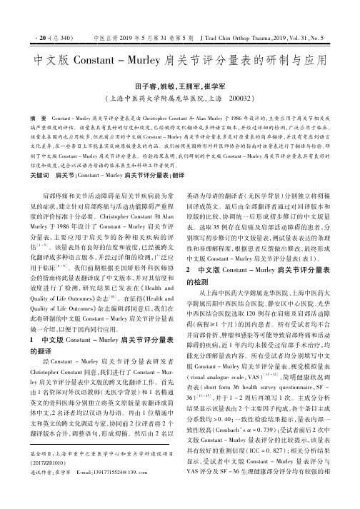 中文版Constant-Murley肩关节评分量表的研制与应用