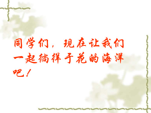 《送你一束转基因花》优秀教学公开课(43张)PPT课件