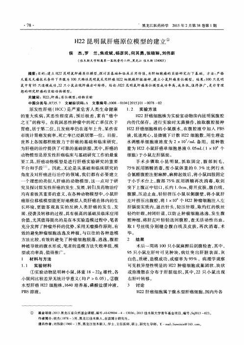 H22昆明鼠肝癌原位模型的建立