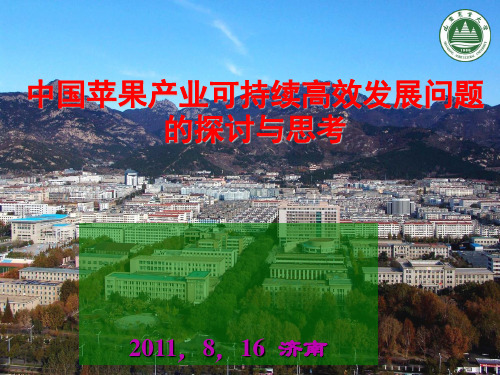 中国苹果产业可持续高效发展问题探讨与思考