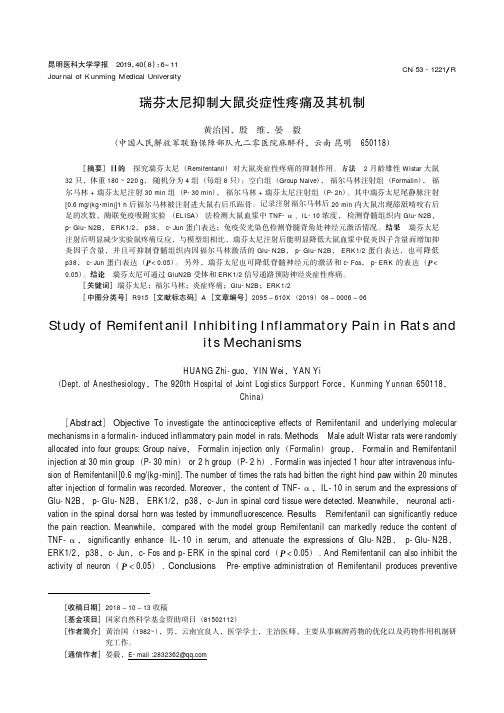 瑞芬太尼抑制大鼠炎症性疼痛及其机制