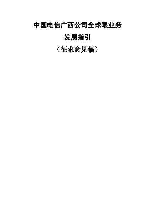 中国电信广西公司全球眼业务发展指引(含技术规范)word精品文档106页