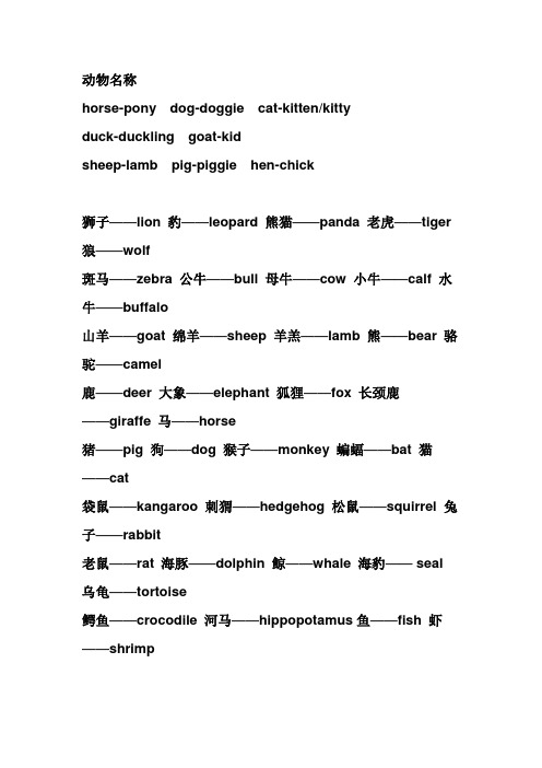 动物名称