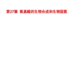 第27章 氨基酸的生物合成和生物固氮