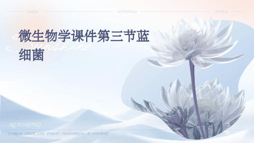 微生物学课件第三节蓝细菌